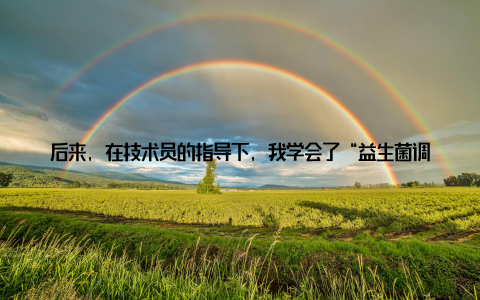 后来, 在技术员的指导下, 我学会了“益生菌调水+中草药防病”的模式, 不仅病害少了, 虾的品质也上去了, 市场价每斤能多卖1-2块钱