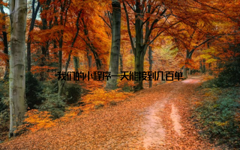 我们的小程序一天能接到几百单