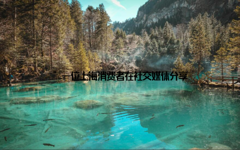 ”一位上海消费者在社交媒体分享