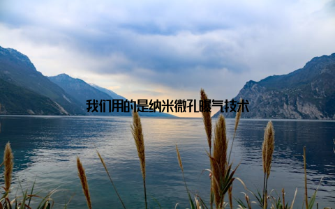 我们用的是纳米微孔曝气技术