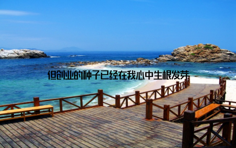 但创业的种子已经在我心中生根发芽