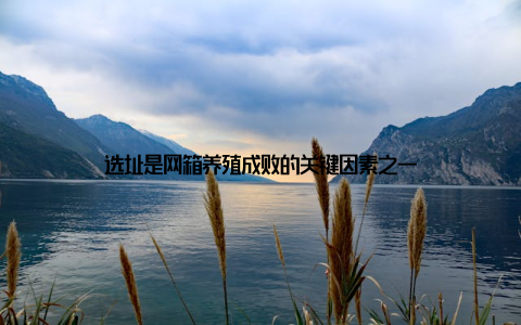 选址是网箱养殖成败的关键因素之一