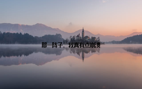 那一阵子, 我真有点崩溃