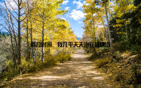 那段时间, 我几乎天天泡在鱼塘边