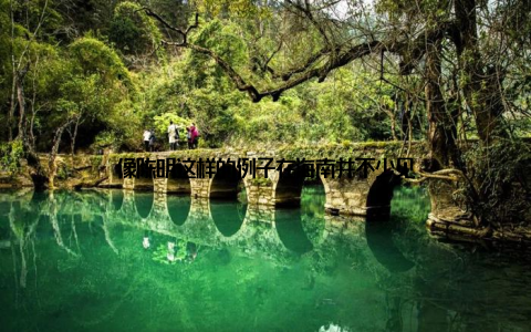 像陈明这样的例子在海南并不少见
