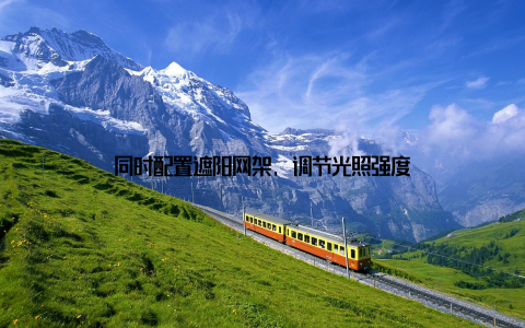 同时配置遮阳网架, 调节光照强度