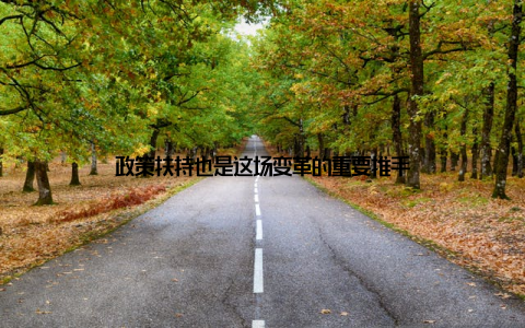 政策扶持也是这场变革的重要推手