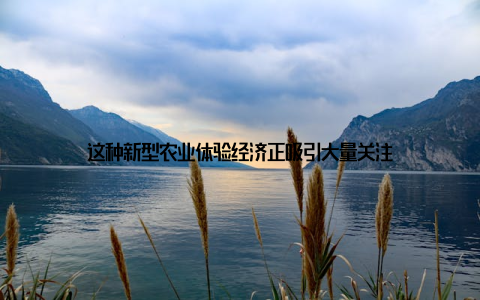 这种新型农业体验经济正吸引大量关注