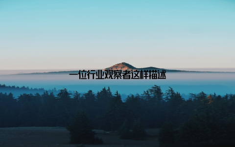 一位行业观察者这样描述