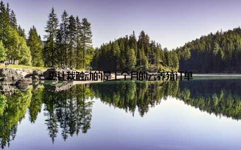 更让我触动的是上个月的云养殖订单