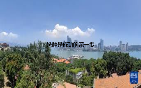 选种是成功的第一步
