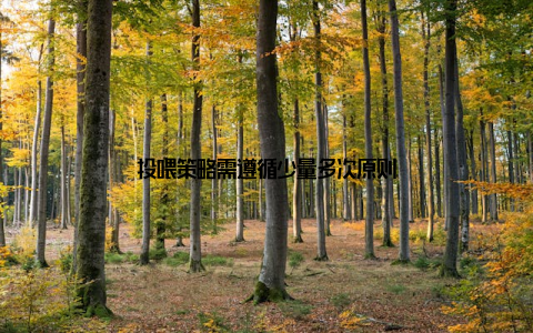 投喂策略需遵循少量多次原则