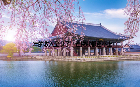 一年的收入全没了, 连贷款都还不上