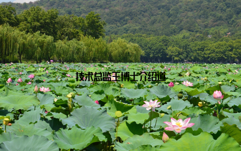 技术总监王博士介绍道