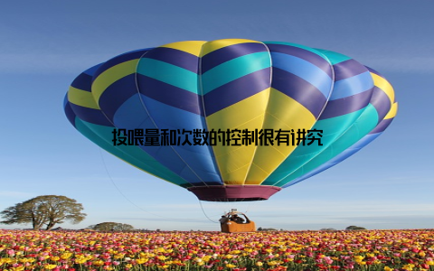 投喂量和次数的控制很有讲究