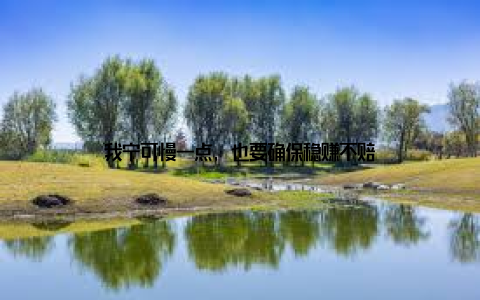 我宁可慢一点, 也要确保稳赚不赔