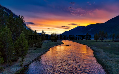环境污染和生态影响是首要问题
