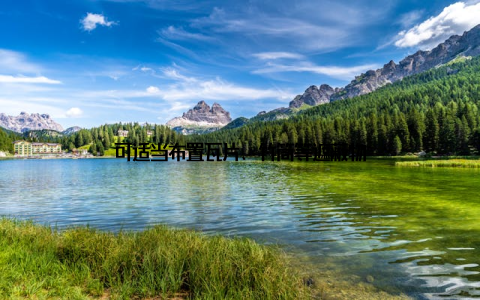 可适当布置瓦片、竹筒等遮蔽物