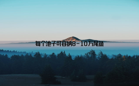 每个池子可容纳8-10万尾鱼