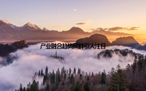 产业融合趋势同样引人注目