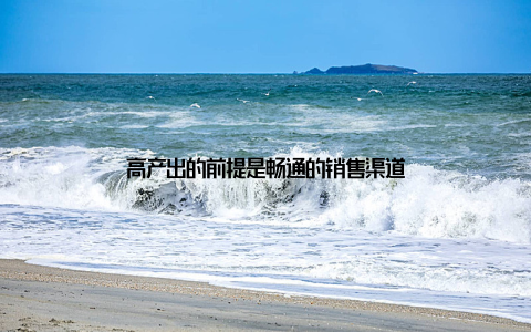 高产出的前提是畅通的销售渠道