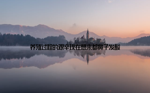 养殖过程的艰辛现在想来都鼻子发酸