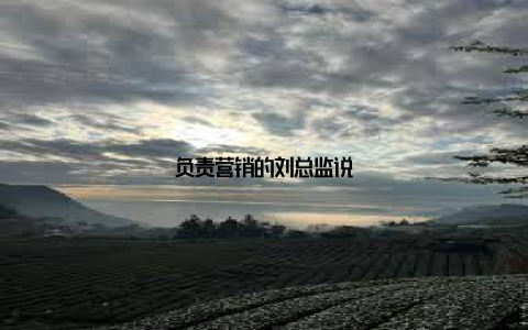 负责营销的刘总监说