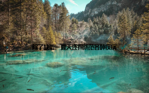 除了缺氧, 夏天还得防范各种疾病