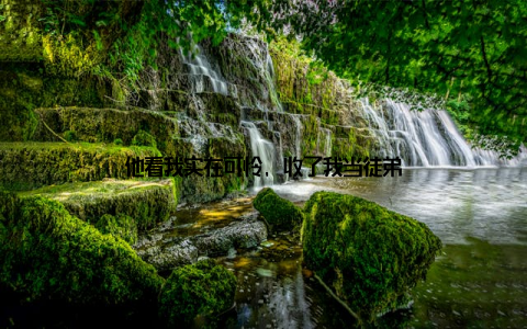他看我实在可怜, 收了我当徒弟