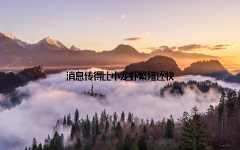 消息传得比小龙虾繁殖还快