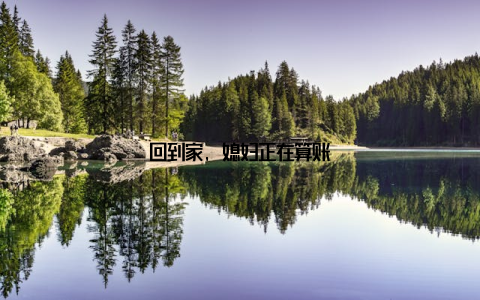 回到家, 媳妇正在算账