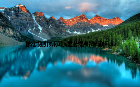 精准投喂技术可以显著提高饲料利用率
