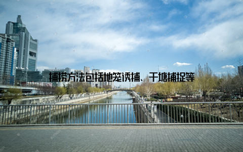 捕捞方法包括地笼诱捕、干塘捕捉等