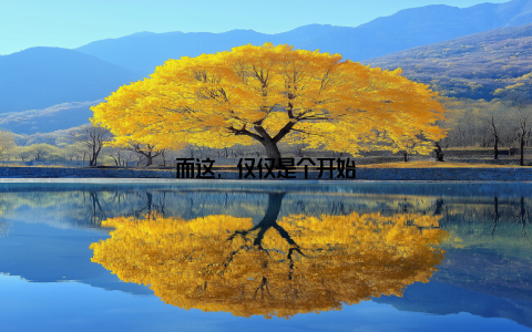 而这, 仅仅是个开始