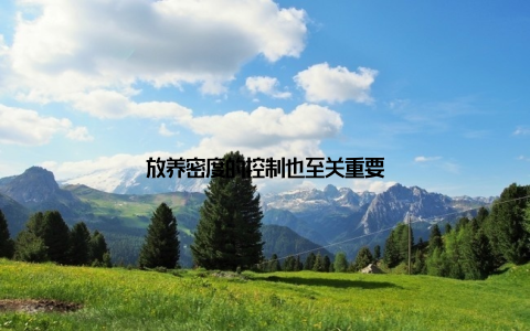 放养密度的控制也至关重要