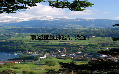 那位经理递过来名片, 烫金的