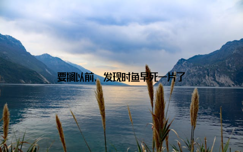 要搁以前, 发现时鱼早死一片了
