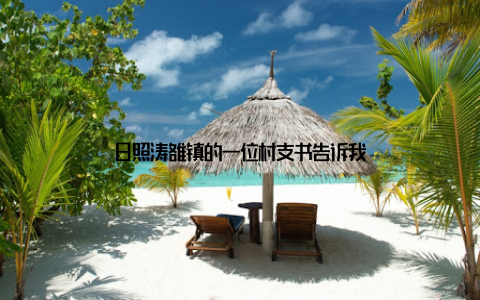 日照涛雒镇的一位村支书告诉我