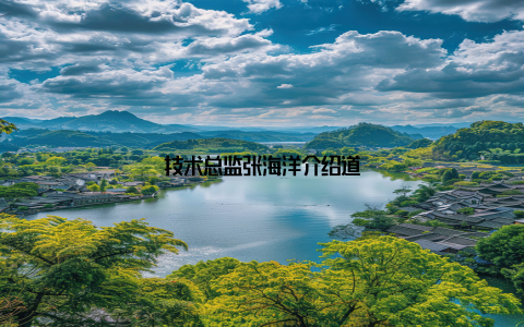 技术总监张海洋介绍道