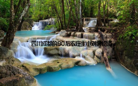 ”四川成都的90后农庄主小刘介绍道