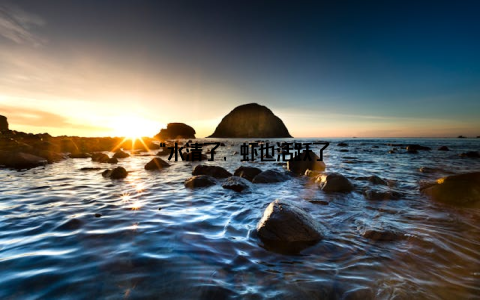 “水清了, 虾也活跃了