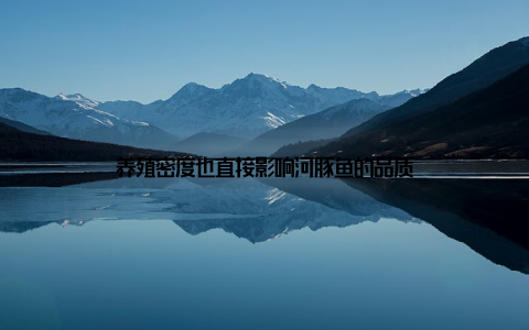 养殖密度也直接影响河豚鱼的品质