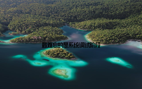 最难忘的是系统调试阶段