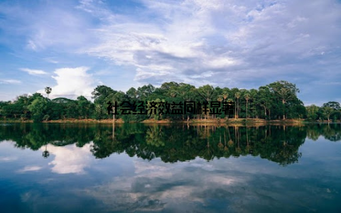 社会经济效益同样显著