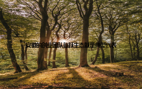 安徽的创业团队鱼跃生态就是典型代表