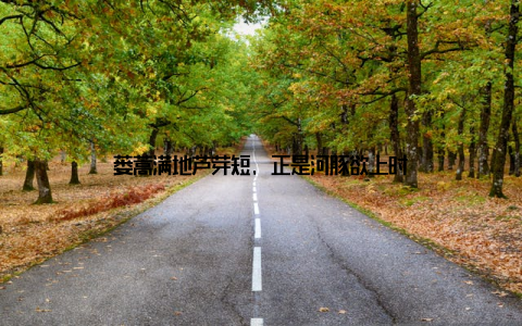 蒌蒿满地芦芽短, 正是河豚欲上时