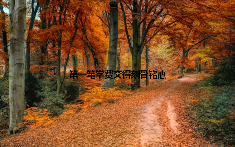 第一笔学费交得刻骨铭心
