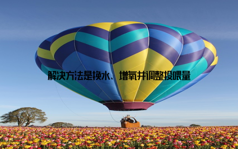 解决方法是换水、增氧并调整投喂量