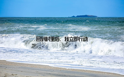 回到村里后, 我立即行动