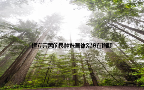 建立完善的良种选育体系迫在眉睫